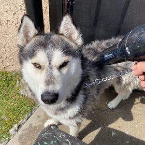 Meet your Posher, Eduardo